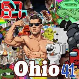 Ohio 41 Brainrot